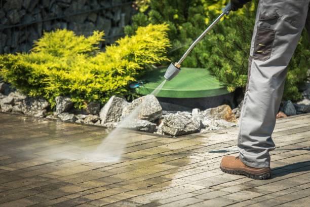 Best Warehouse Cleaning  in Macarthur, WV