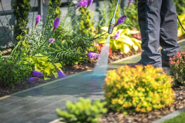 Best Driveway Pressure Washing  in Macarthur, WV